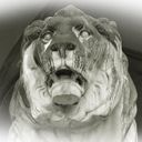 Avatar del canal @begleita