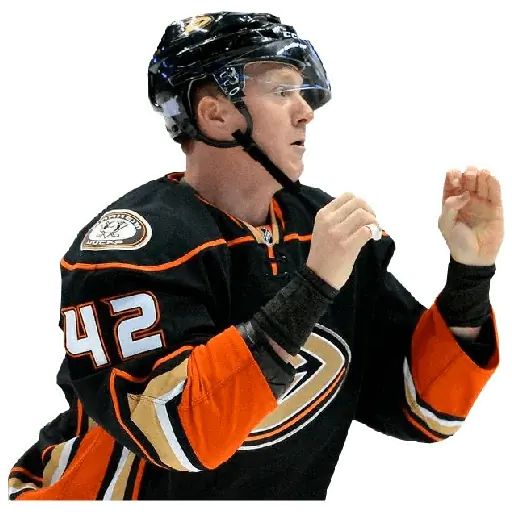 Sticker «Anaheim Ducks-10»