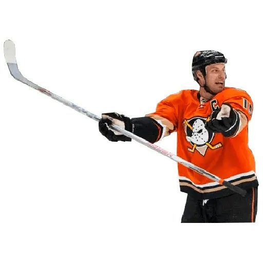 Sticker «Anaheim Ducks-7»