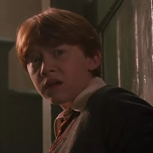 Sticker «Garry Potter 2-4»