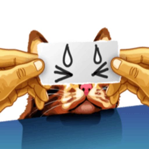 Sticker «Meme The Cat-3»