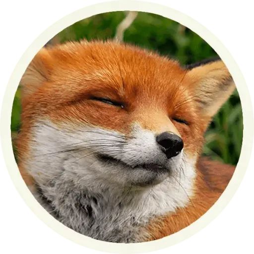 Sticker «Fox-7»