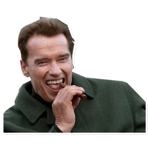 Sticker «Arnold Schwarzenegger-8»