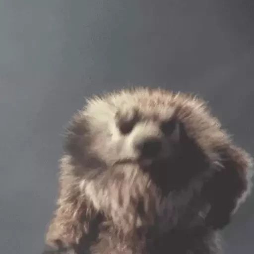 Sticker «Marmots-7»