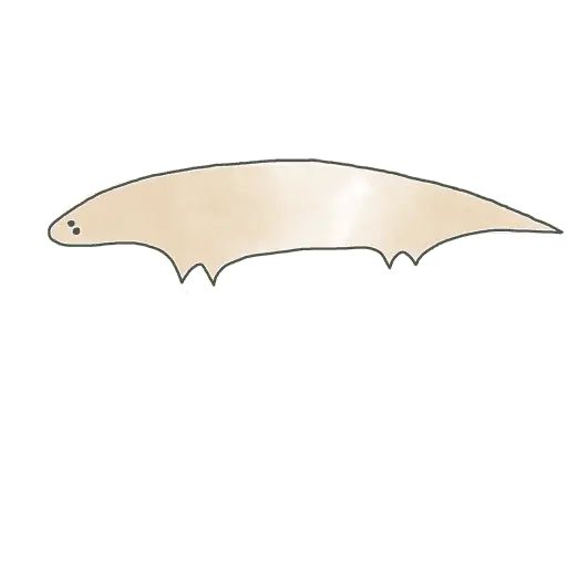 Sticker «Animals-11»
