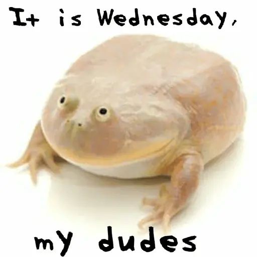 Sticker «It's Wednesday my dudes-1»