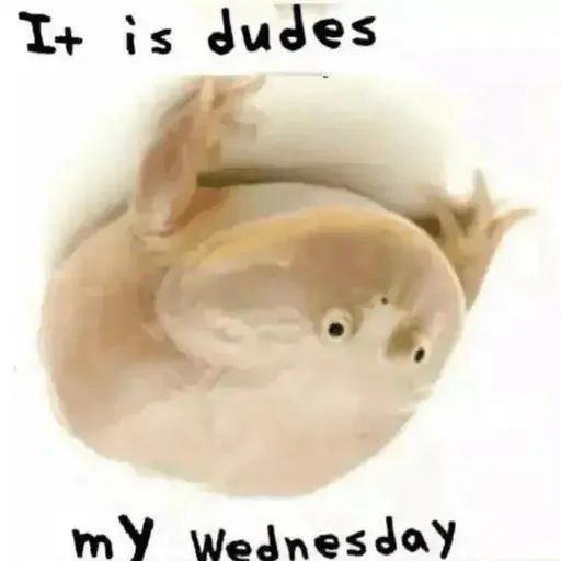 Sticker «It's Wednesday my dudes-2»