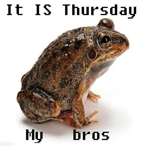 Sticker «It's Wednesday my dudes-9»