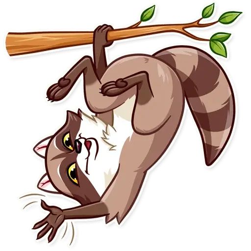 Sticker «Bandit Raccoon-5»