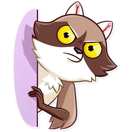 Sticker «Bandit Raccoon-6»