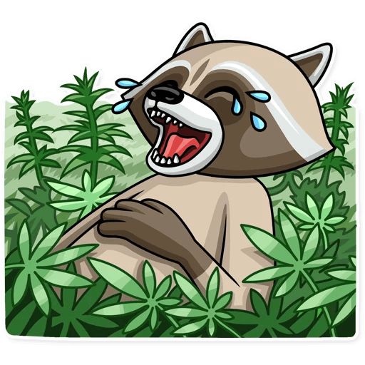 Sticker «Criminal Raccoon-1»