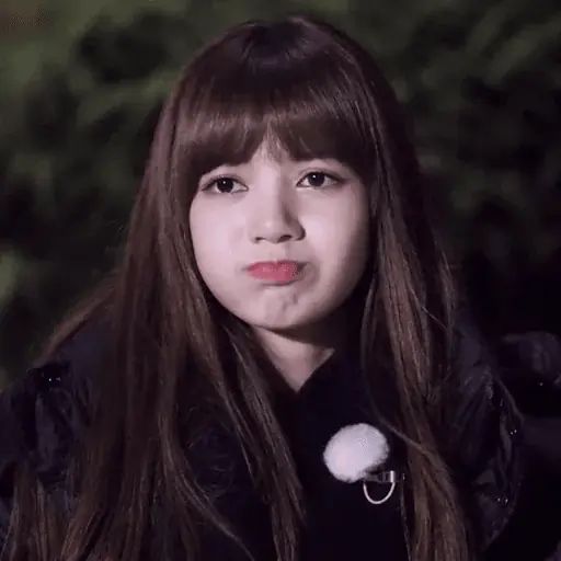 Sticker «BLACKPINK-4»