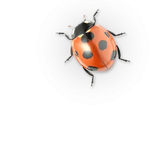 Sticker «Insects-3»