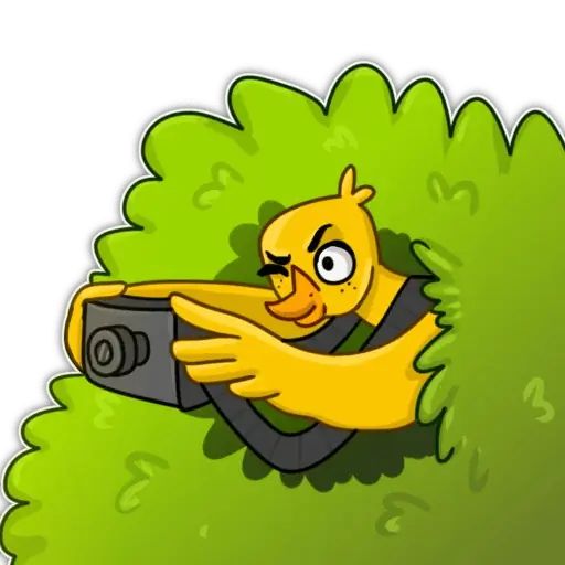 Sticker «MMD ducks-10»