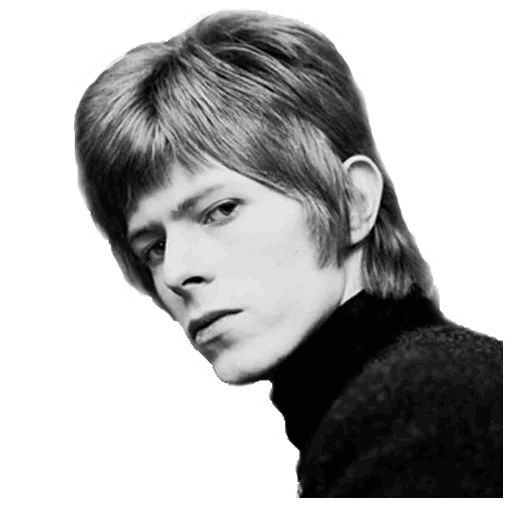 Sticker «David Bowie-11»
