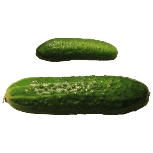 Sticker «Cucumber-10»