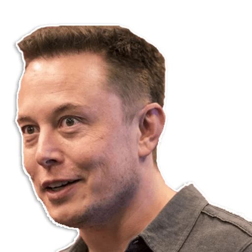 Sticker «Elon Musk-5»