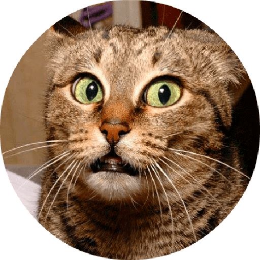 Sticker «Cats By Smol-12»