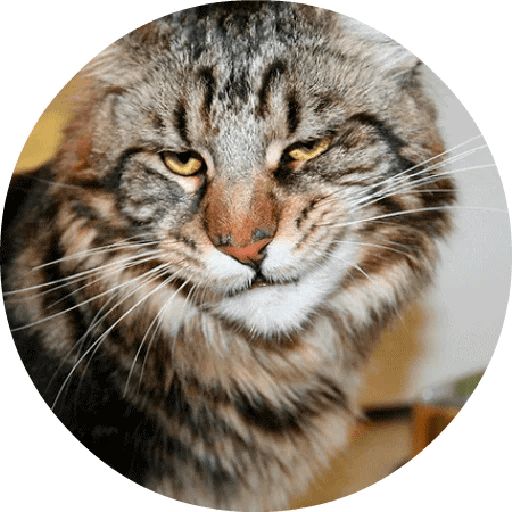 Sticker «Cats By Smol-7»