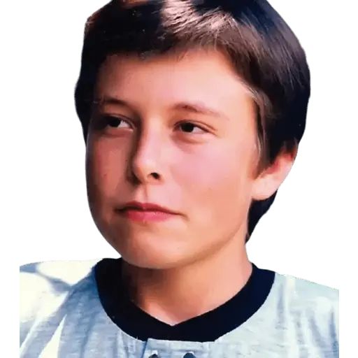 Sticker «Elon Musk-12»