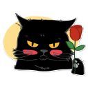 Pack de stickers «Black Cat»