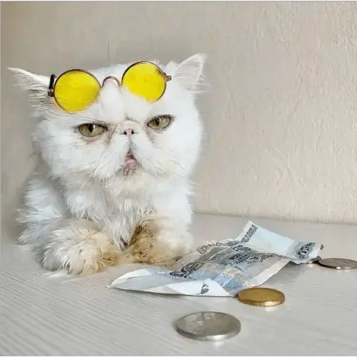 Sticker «Cat Lesha-7»