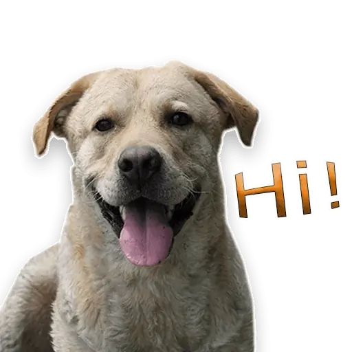 Sticker «Rap Dog-1»