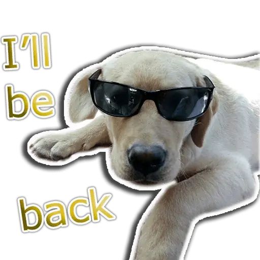 Sticker «Rap Dog-10»