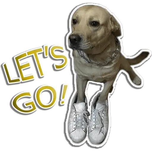 Sticker «Rap Dog-12»