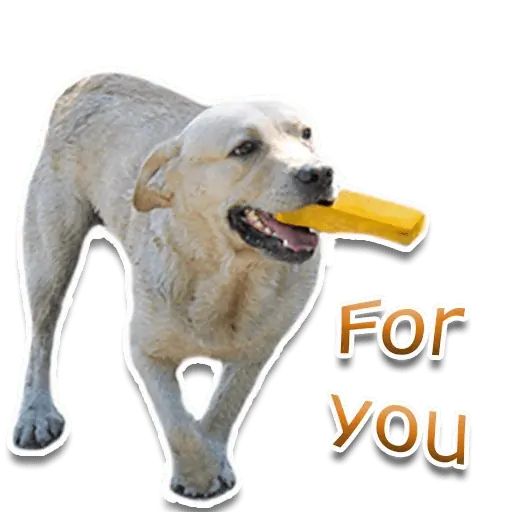 Sticker «Rap Dog-5»