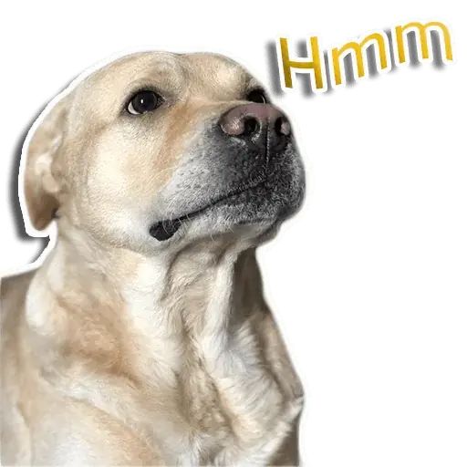 Sticker «Rap Dog-7»