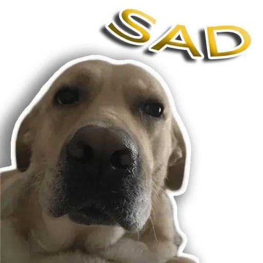 Sticker «Rap Dog-8»