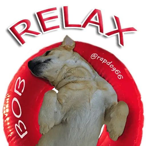 Sticker «Rap Dog-9»