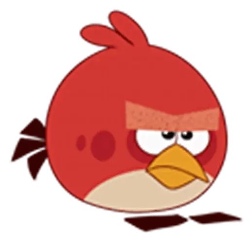 Sticker «Angry Birds-6»
