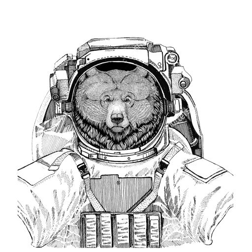 Sticker «Animals in Space-3»