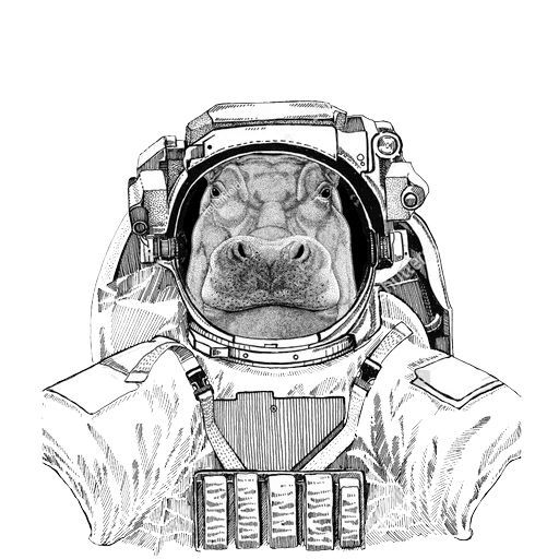 Sticker «Animals in Space-4»