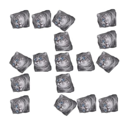 Sticker «Surprised Cat-5»