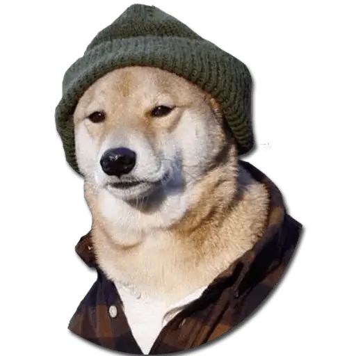 Sticker «Don't Be Dog-1»
