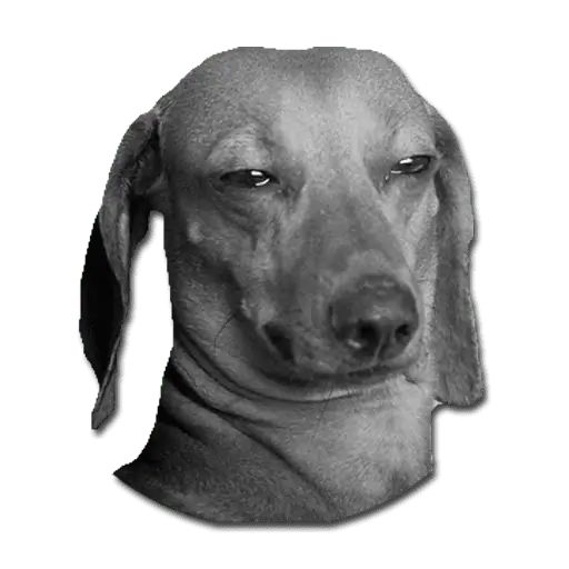 Sticker «Don't Be Dog-12»