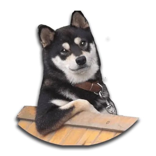 Sticker «Don't Be Dog-3»