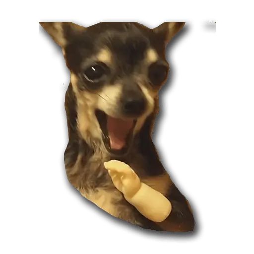 Sticker «Don't Be Dog-6»