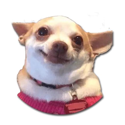 Sticker «Don't Be Dog-7»