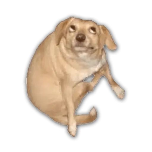Sticker «Don't Be Dog-8»