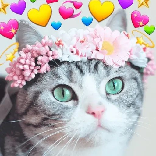 Sticker «Kawaii Kawaii-1»