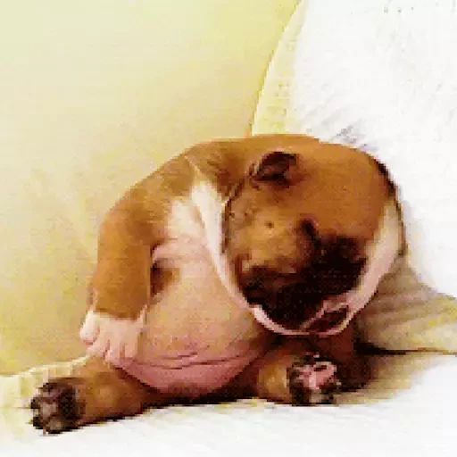 Sticker «Sleeping Dogs-4»