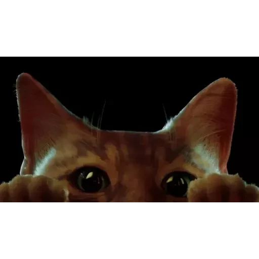 Sticker «Stray-1»