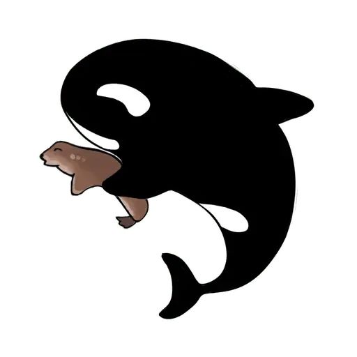 Sticker «Killer Whale-5»