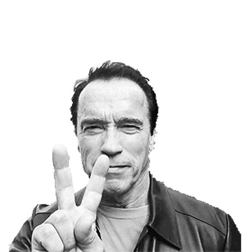 Sticker «Arnold Schwarzenegger-6»