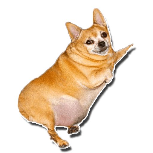 Sticker «Fat Dog-3»