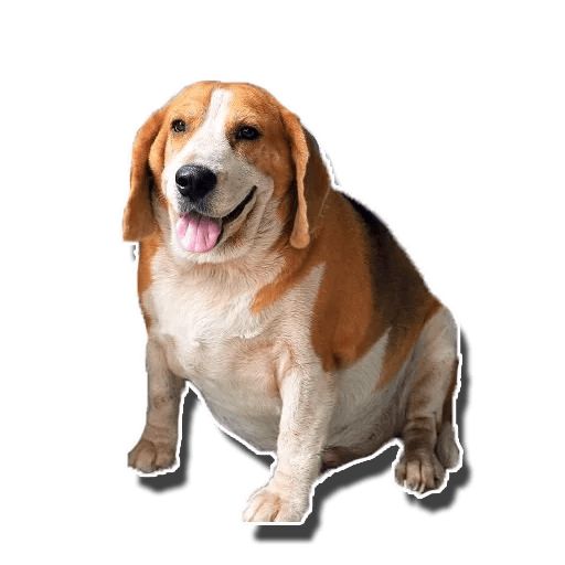 Sticker «Fat Dog-4»